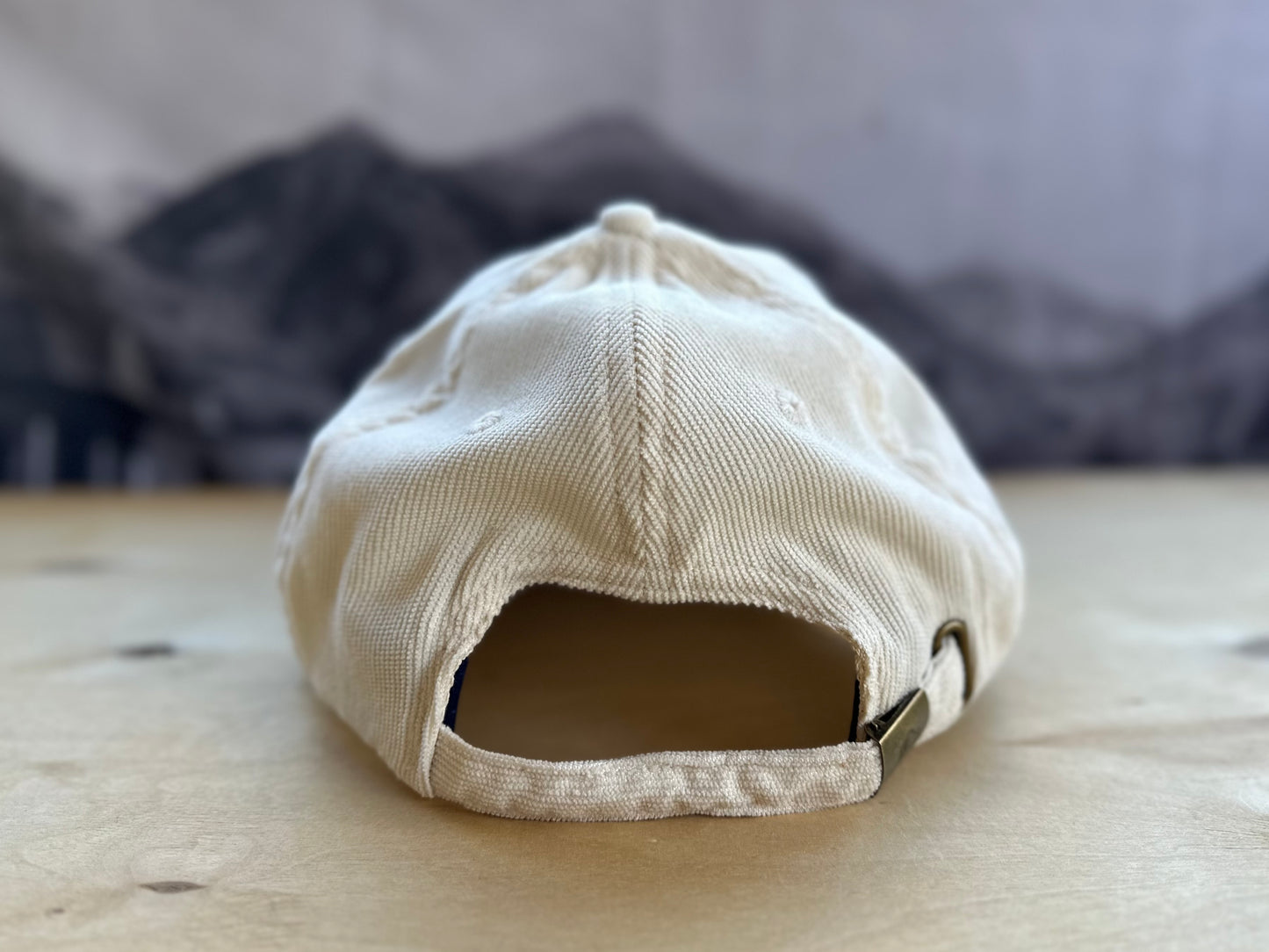 Ski Telluride Gondola Corduroy Baseball Hat- White