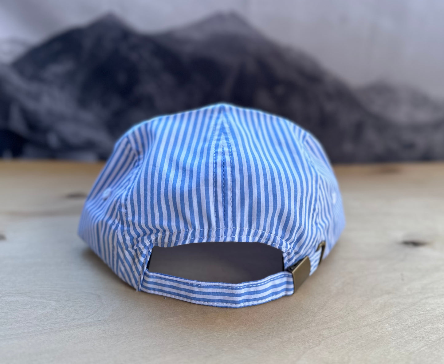 Telluride Train Camp Hat