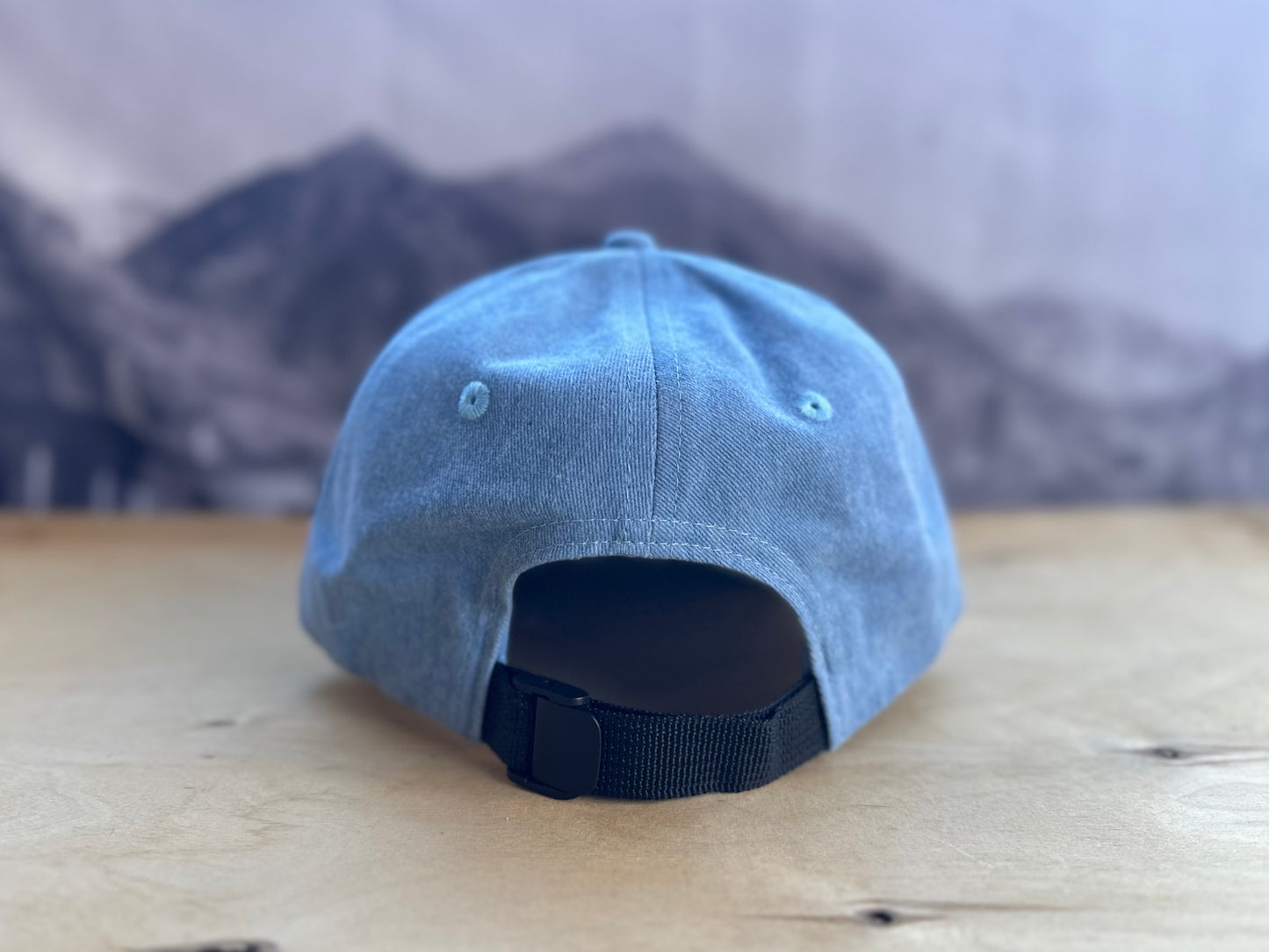 Telluride Gondola KIDS Hat - Blue