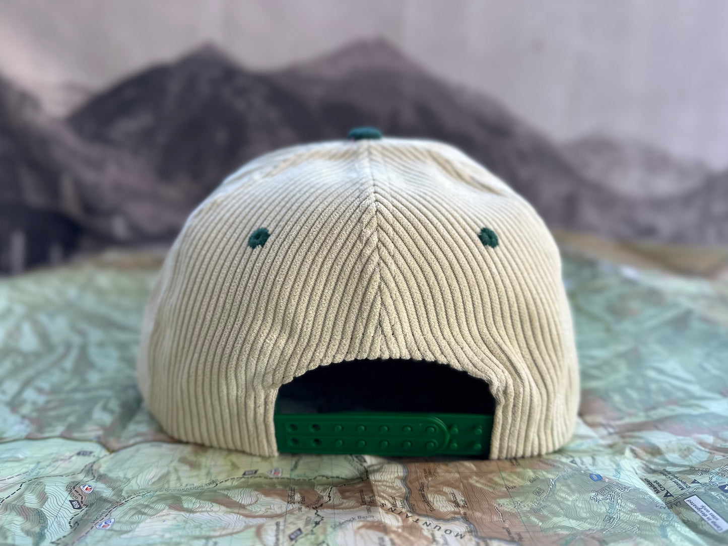 Telluride Tree Corduroy Hat - White/Green
