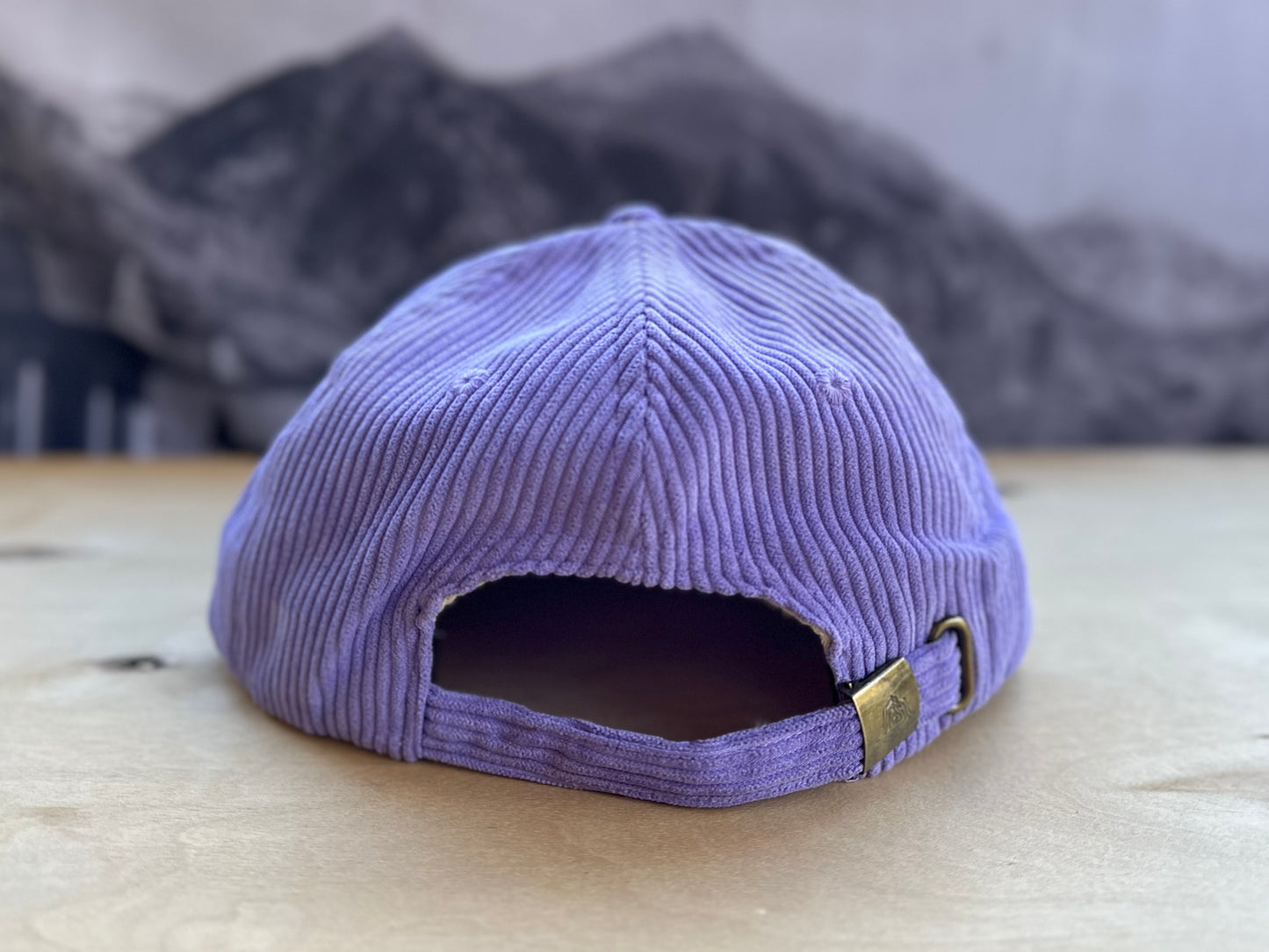 Telluride Snow Rainbow Corduroy Hat - Purple