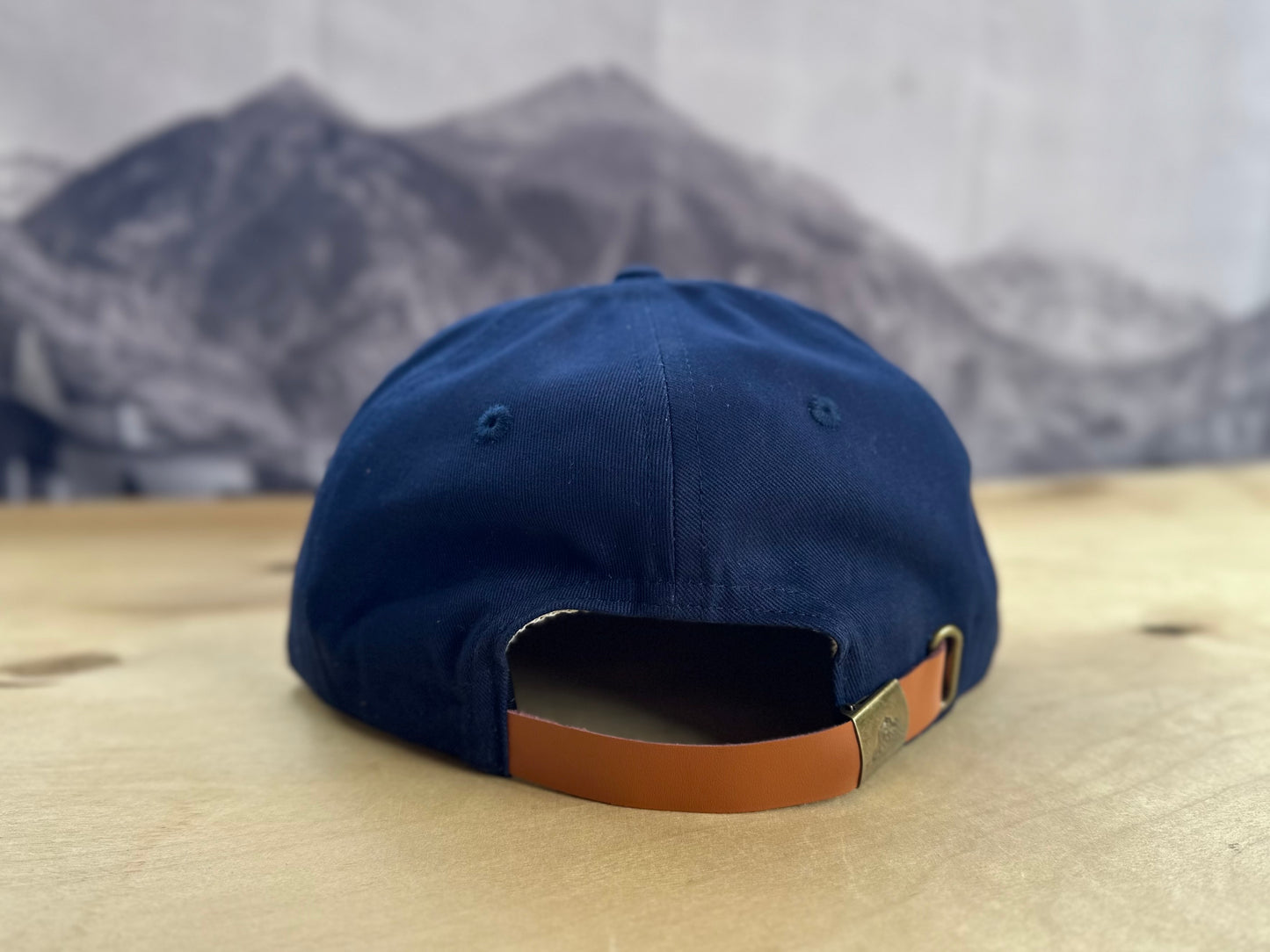 Telluride T * RIDE Navy Ball Cap