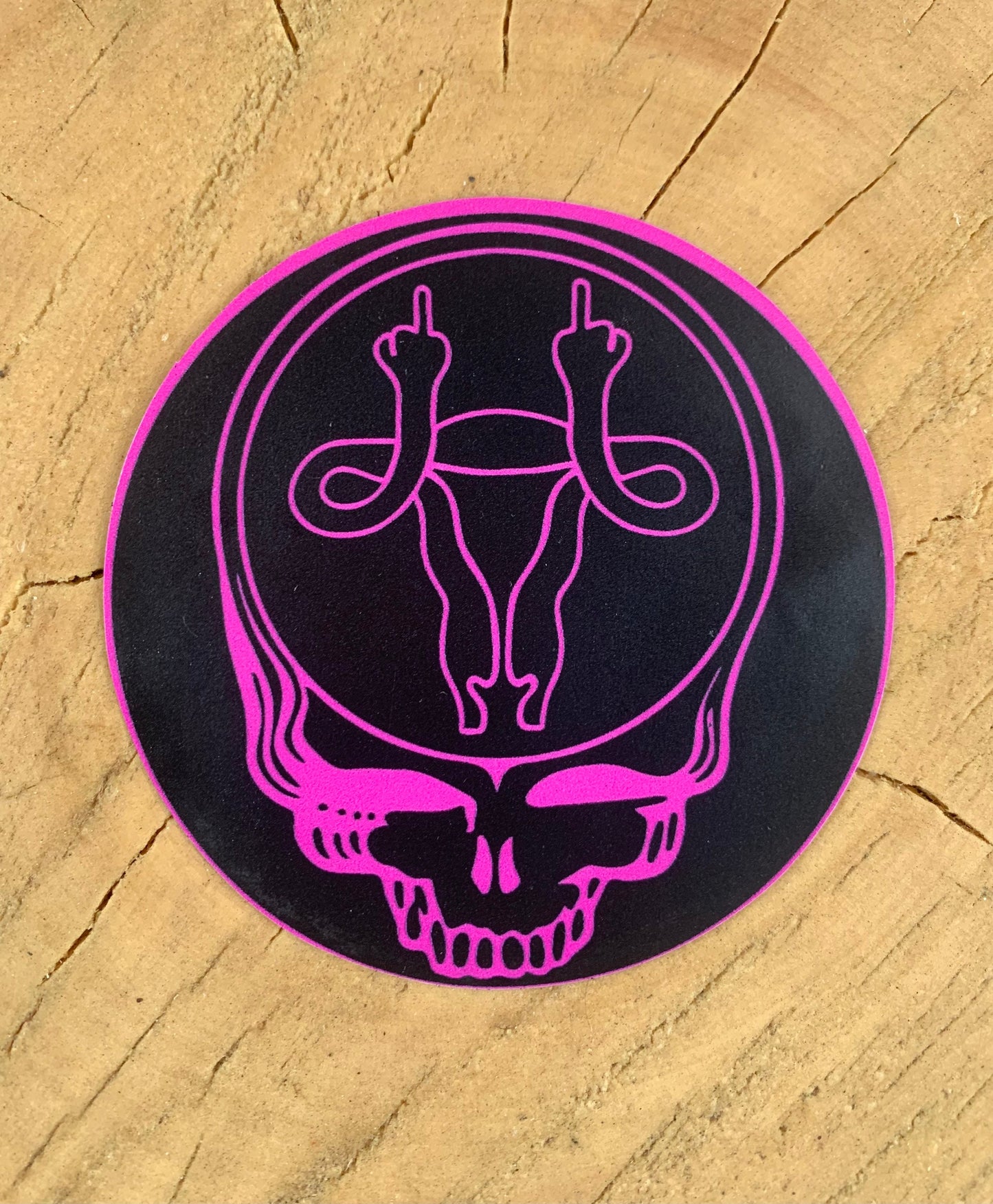 Stealy Reproductive Rights Stickers (2)