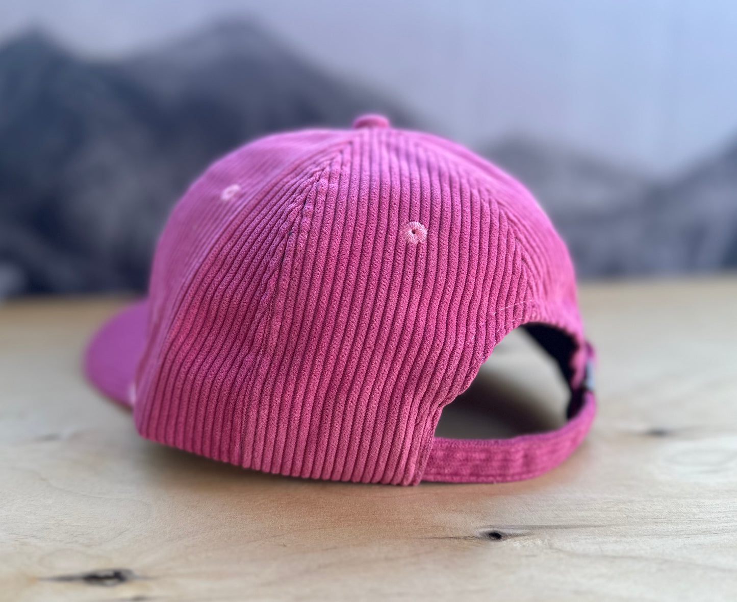 Telluride Sky Patch Corduroy Hat- Pink