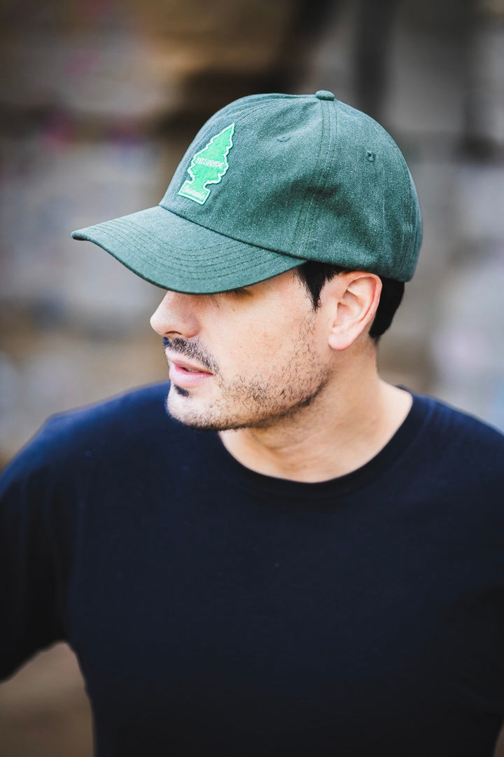 Telluride Tree Baseball Hat - Green