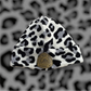 Needle Rock Threads Snow Leapord Beanie Hat