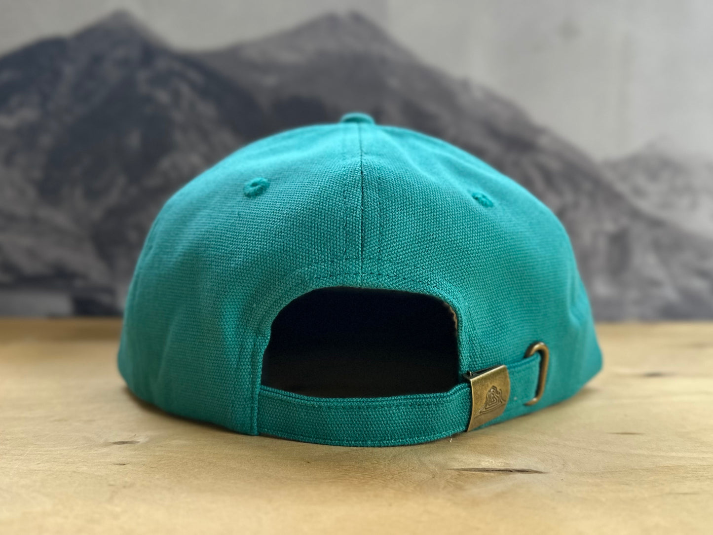 Telluride Rainbow Canvas Ball Hat - Teal