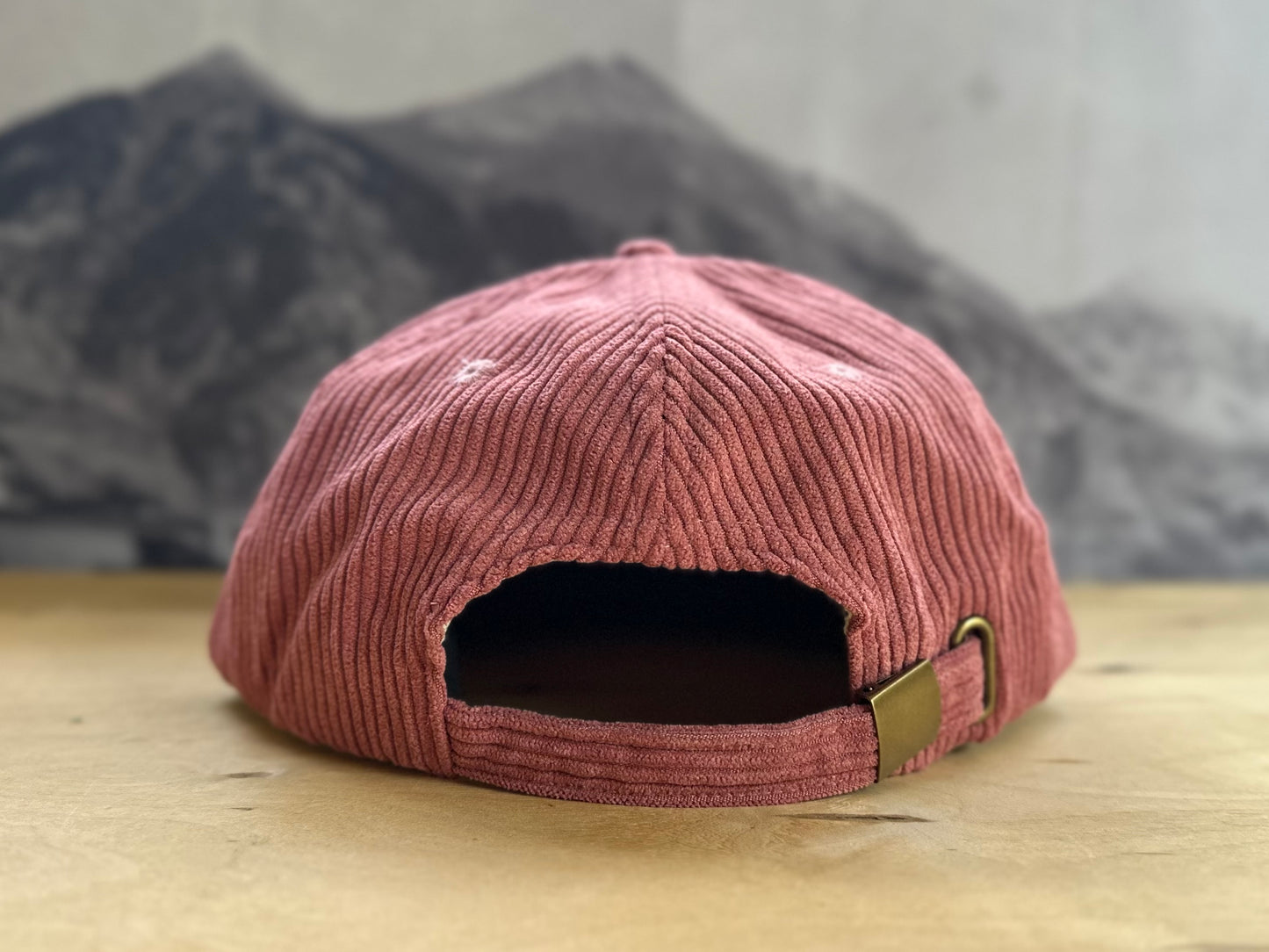 Telluride Dark Sky Corduroy Hat - Mauve Pink