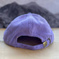 Telluride Snow Rainbow Corduroy Hat - Purple