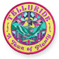 Telluride Funky Town Patch