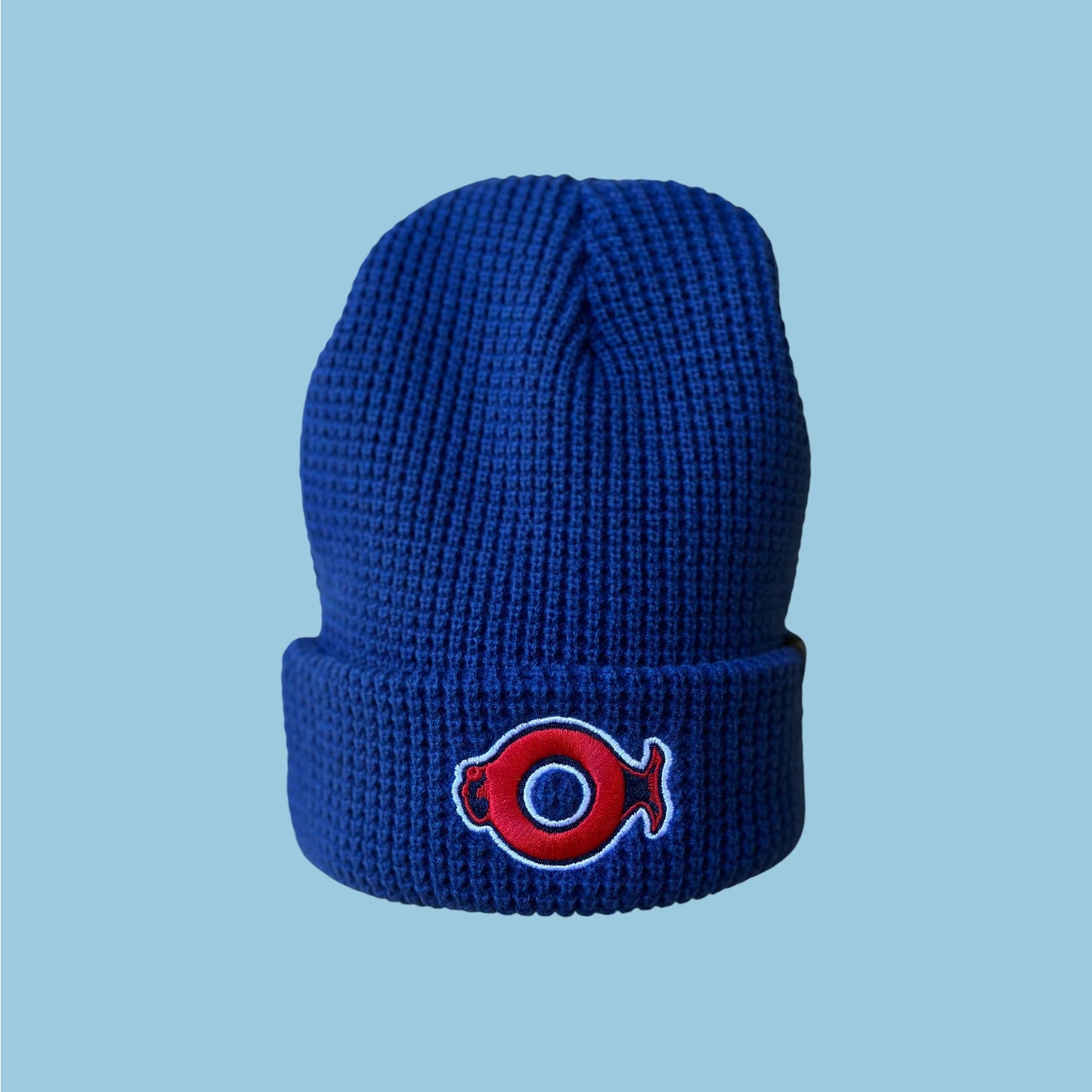 Donut Fish Waffle Knit Beanie Hat Blue