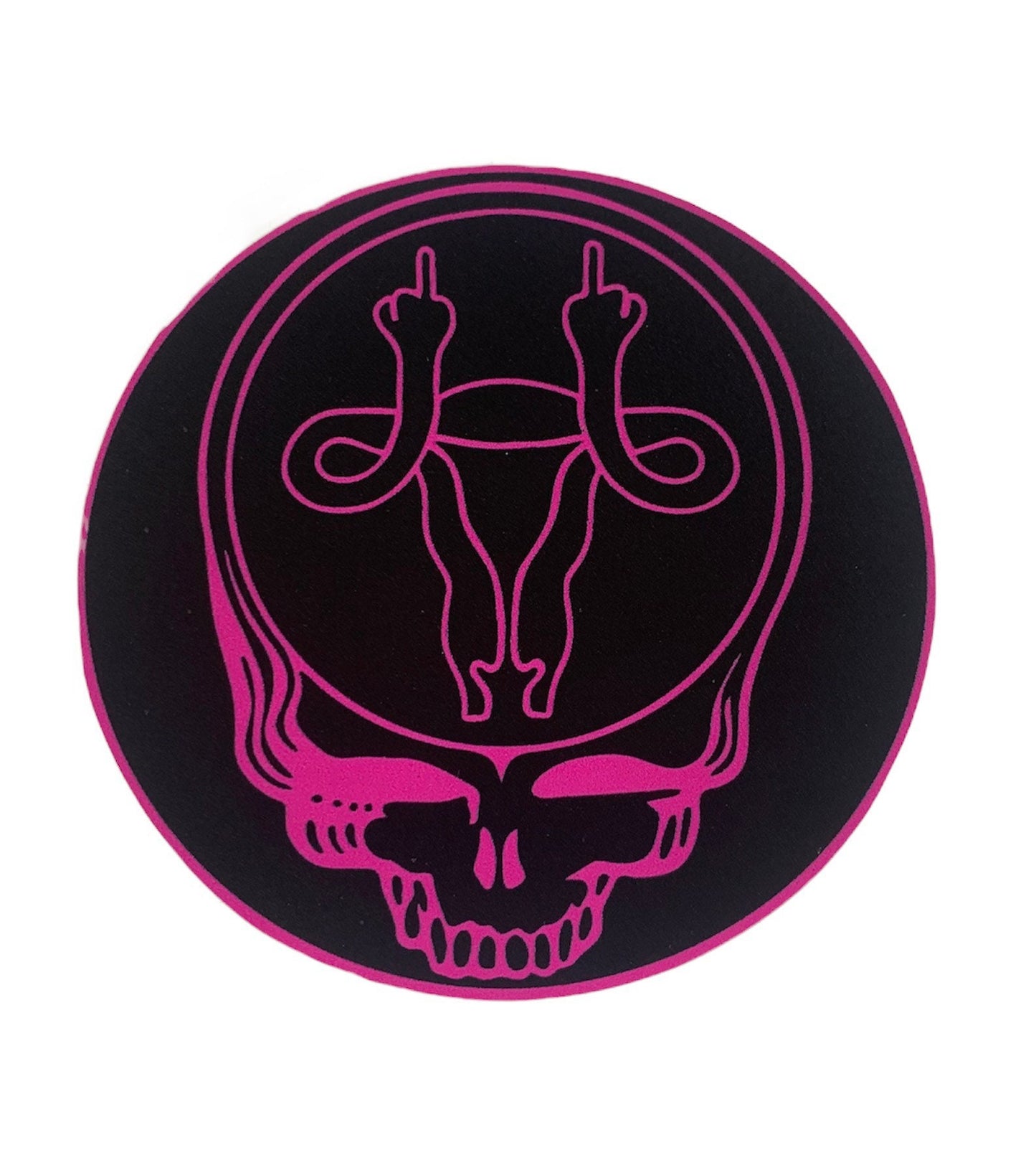 Stealy Reproductive Rights Stickers (2)